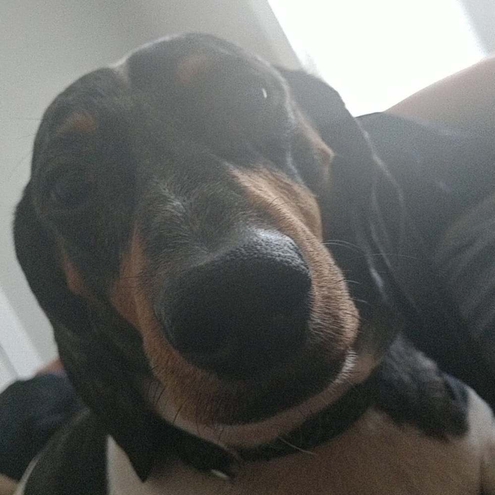 Meet your Posher, Joanna